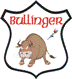 Dartclub Bullinger